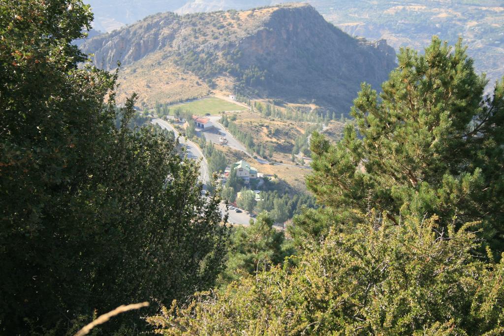 La Alacena De Jose Y Rosi Sierra Nevada Zewnętrze zdjęcie